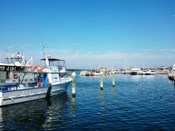 Paynesville-Jetty